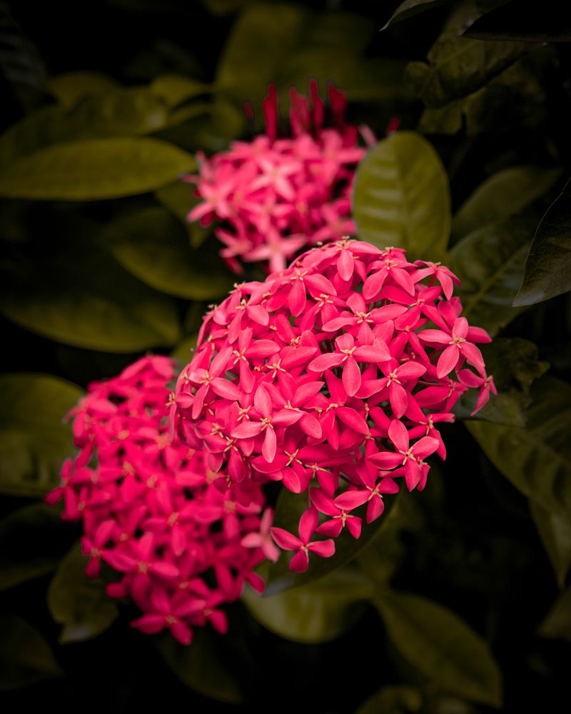 Photograph by Ayush Tripathi