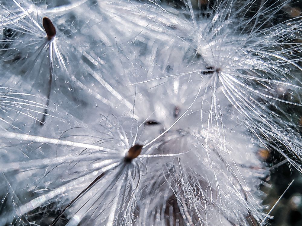 Photograph by Наталья Веряскина