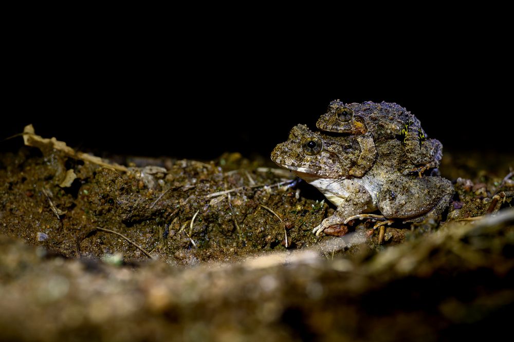 Photograph by Nabarun Majumdar