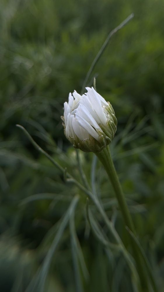 Photograph by Dina Din