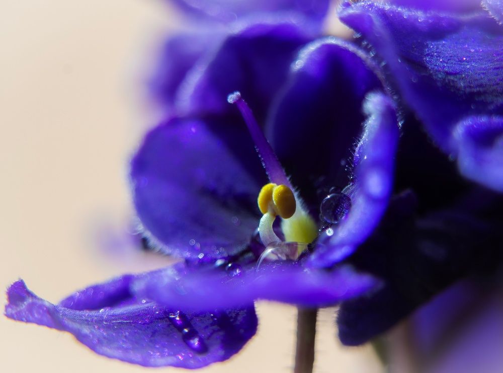 Photograph by Артём Пирогов