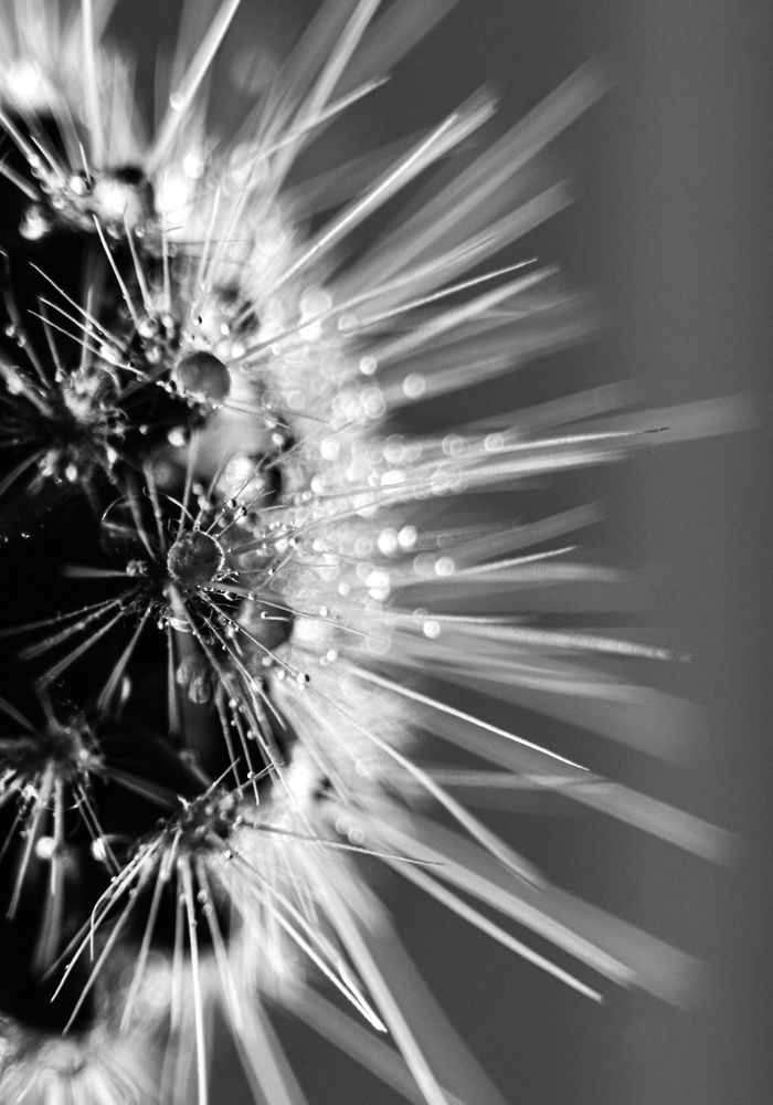 Photograph by Артём Пирогов