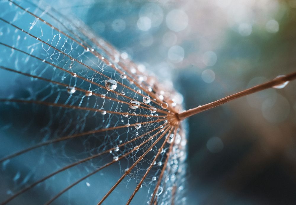 Photograph by Lyudmila Gendugova