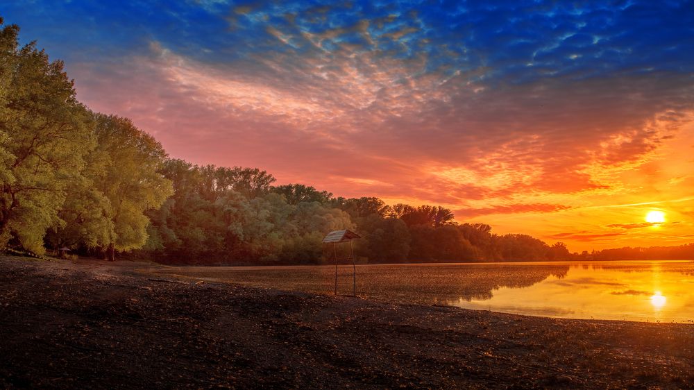 Photograph by Elena Dementova