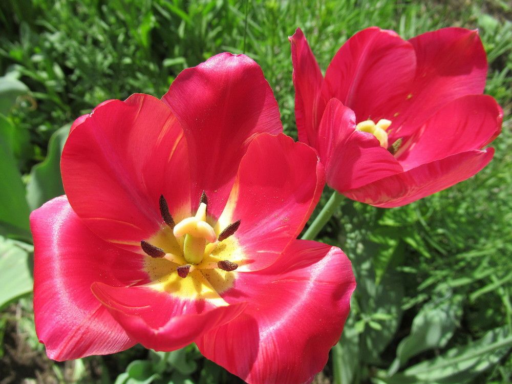 Photograph by Владимир