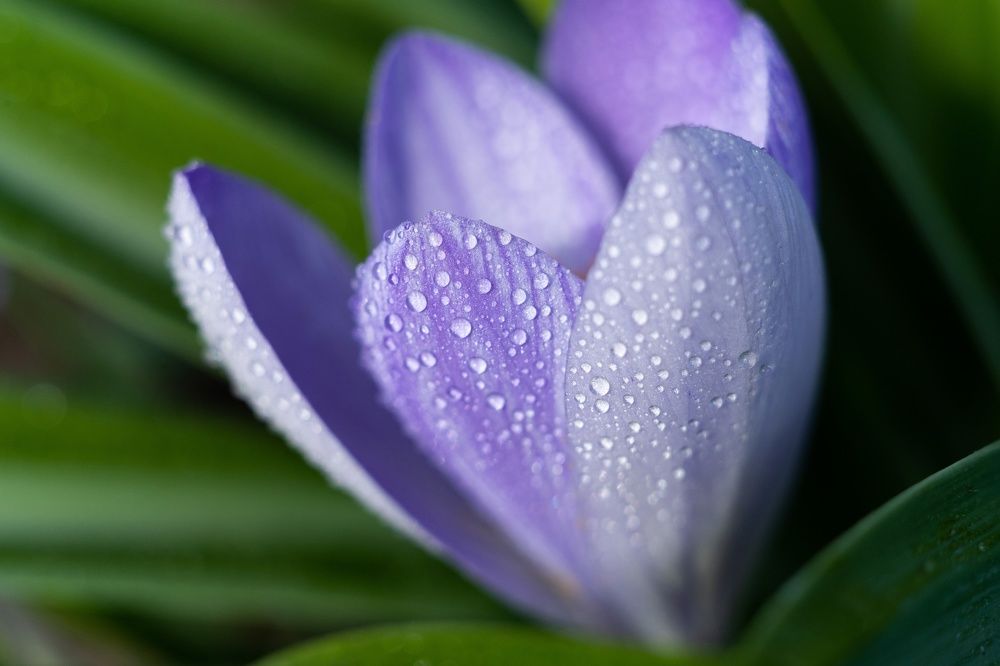 Photograph by Щербак Анатолий