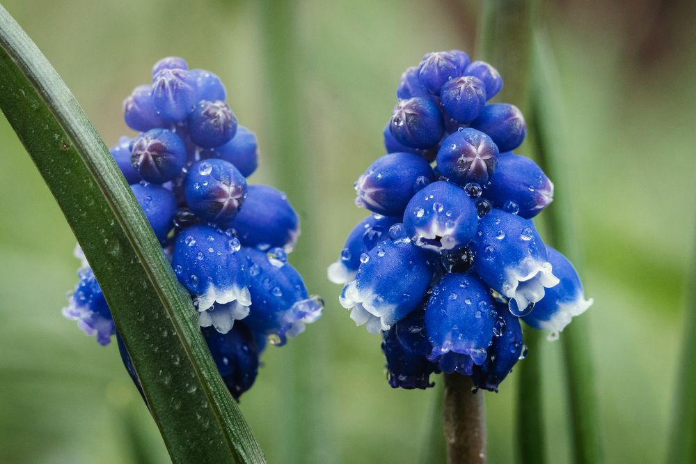 Photograph by Щербак Анатолий