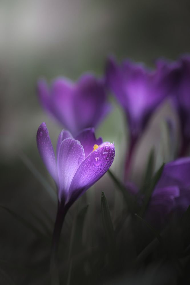 Photograph by Анна Тен