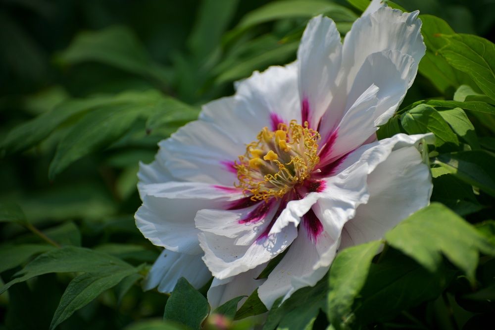 Photograph by Margareth Tikhonova