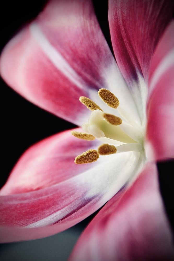 Photograph by Анна Дорофеева