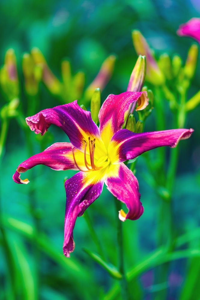 Photograph by Демьян Лопатов