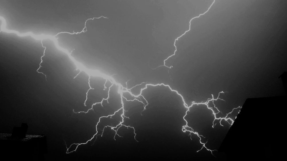 Photograph by Irina Pires