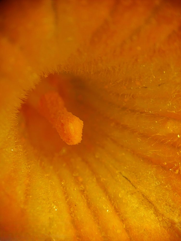 Photograph by Ксения Малютина