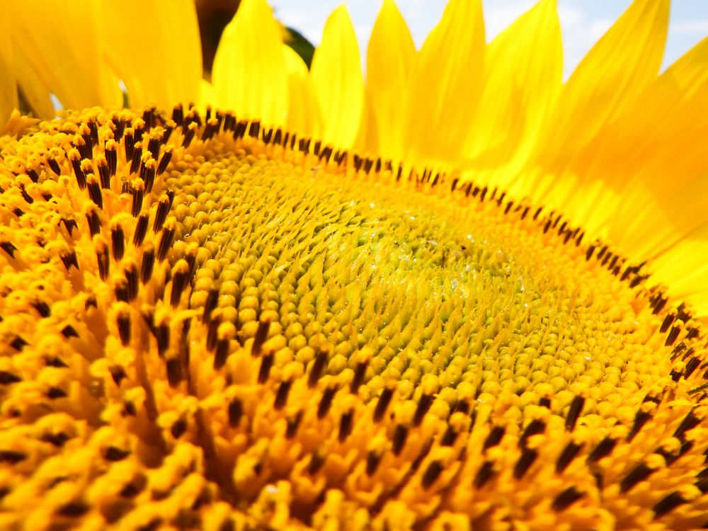 Photograph by Анастасия Толмачева