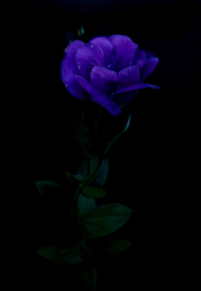 Photograph by Алексей Широбоков