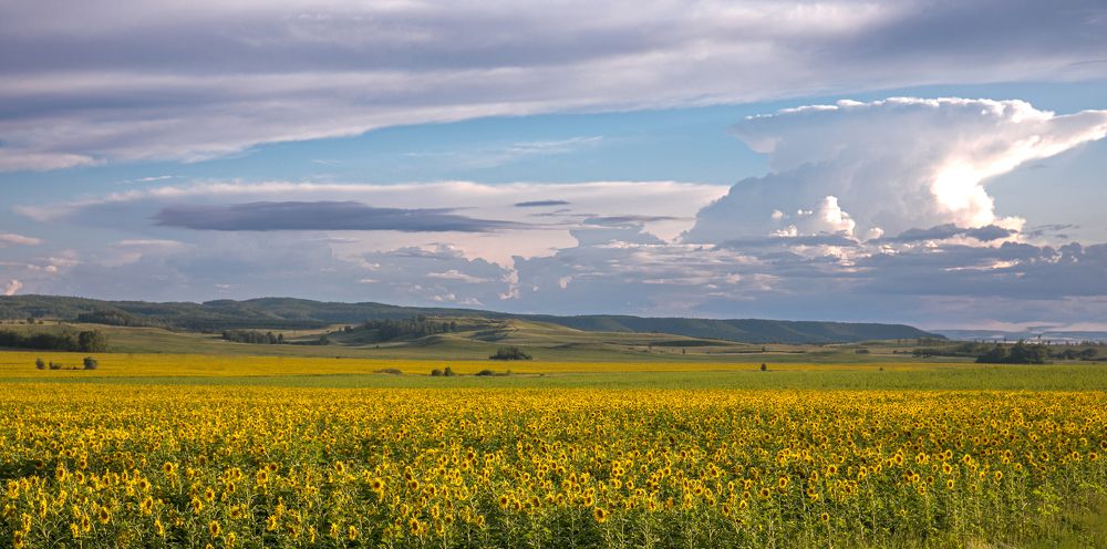 Photograph by Ринат Ямалиев