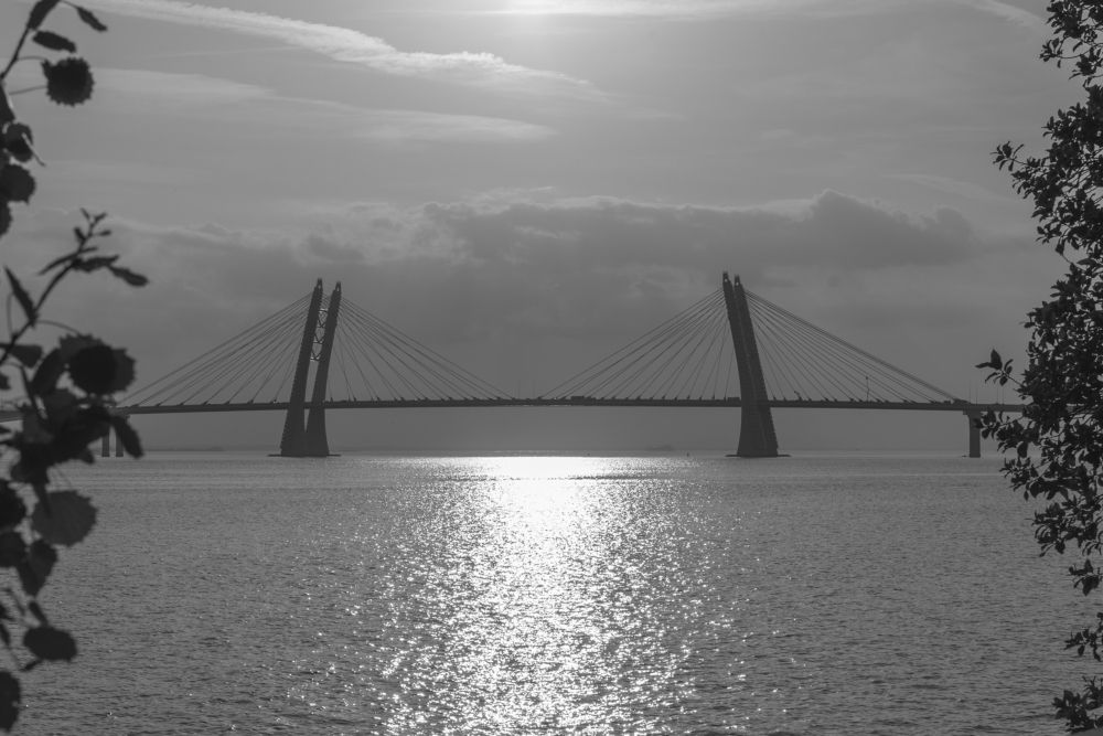 Photograph by Артем Полинин