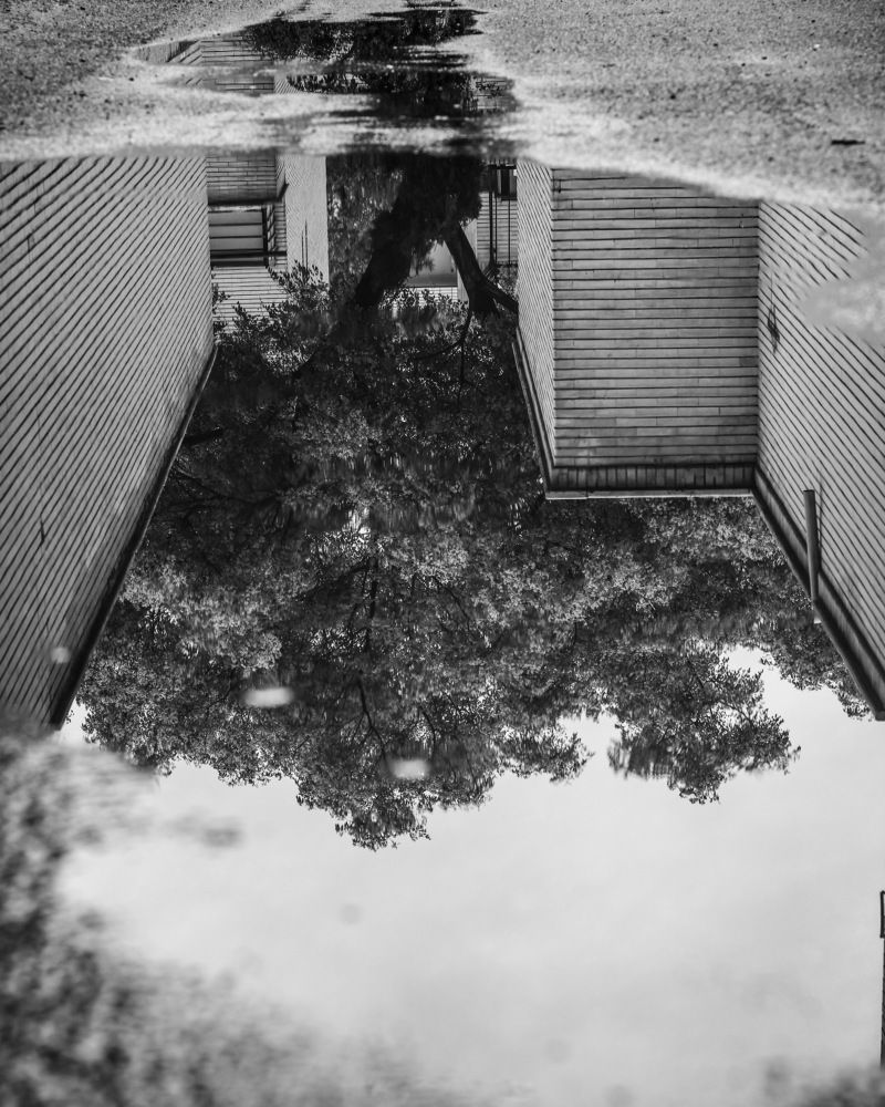 Photograph by FARZIN ABEDINI