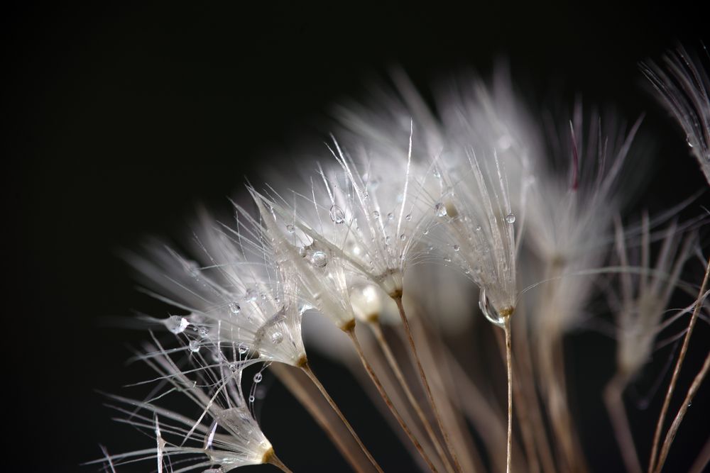 Photograph by Татьяна Эрбутаева