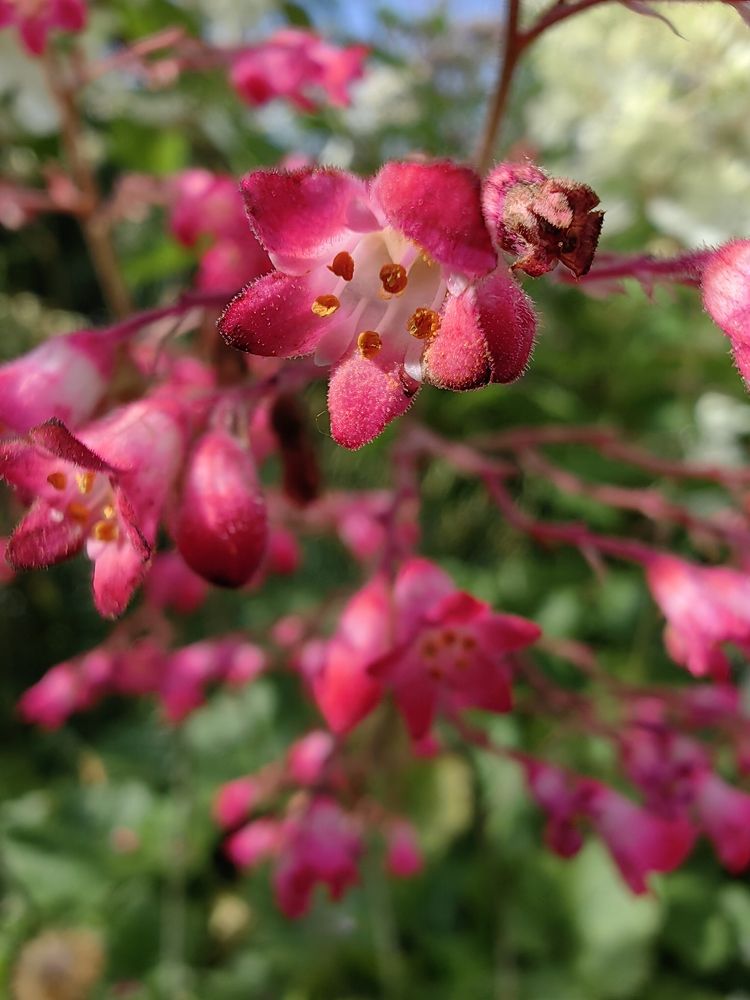 Photograph by Людмила Савчук