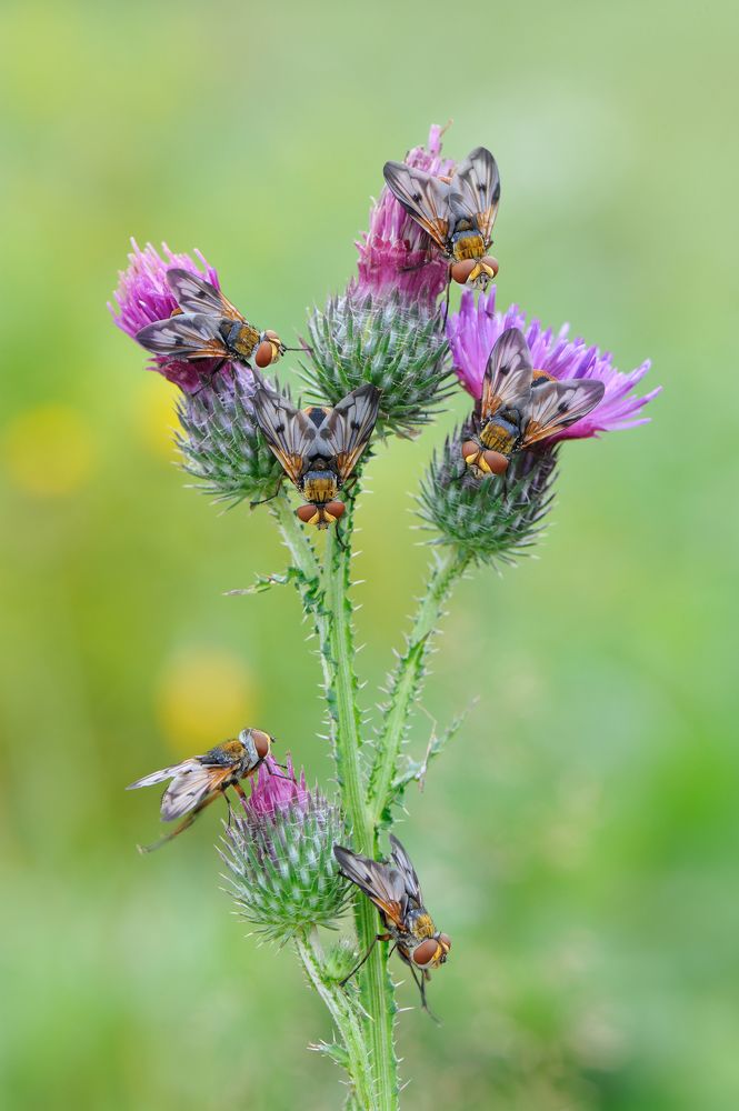 Photograph by Чистяков Андрей