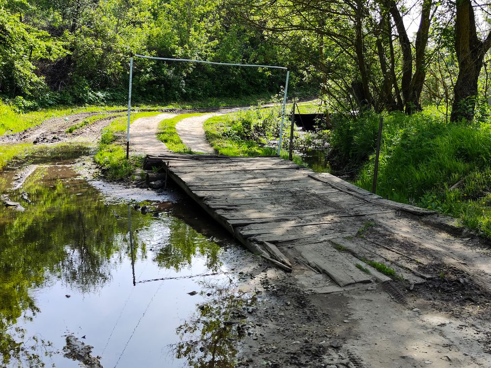 Photograph by Ирина Шибитова