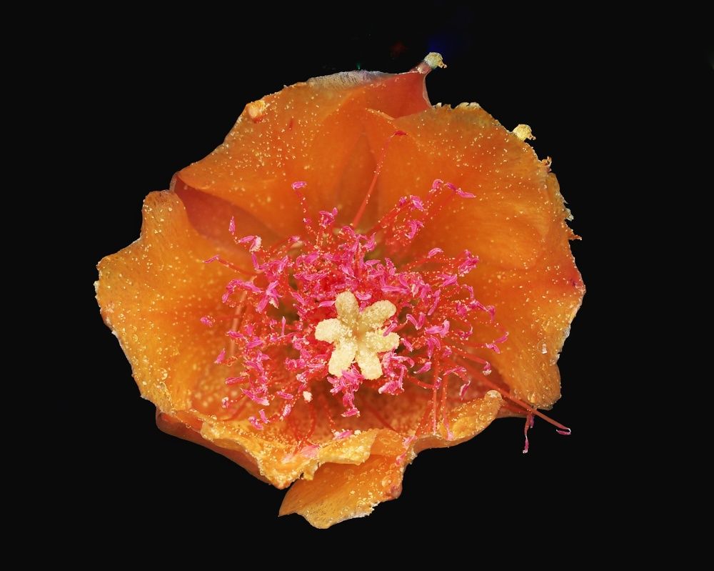 Photograph by Dharmendra Padhiyar