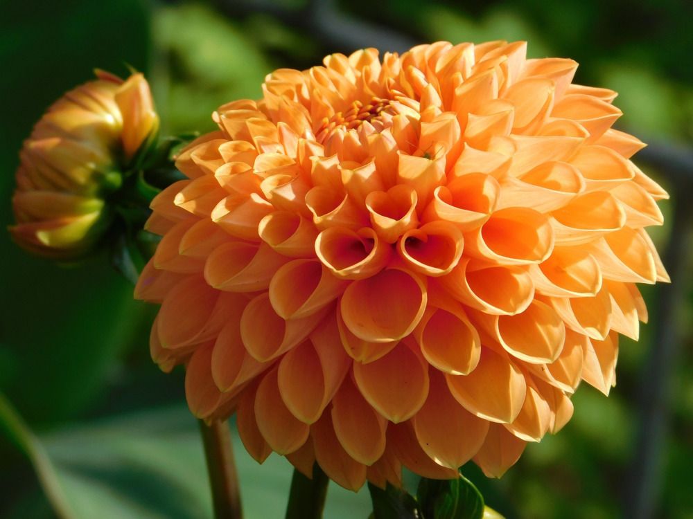 Photograph by Татьяна Колчанова