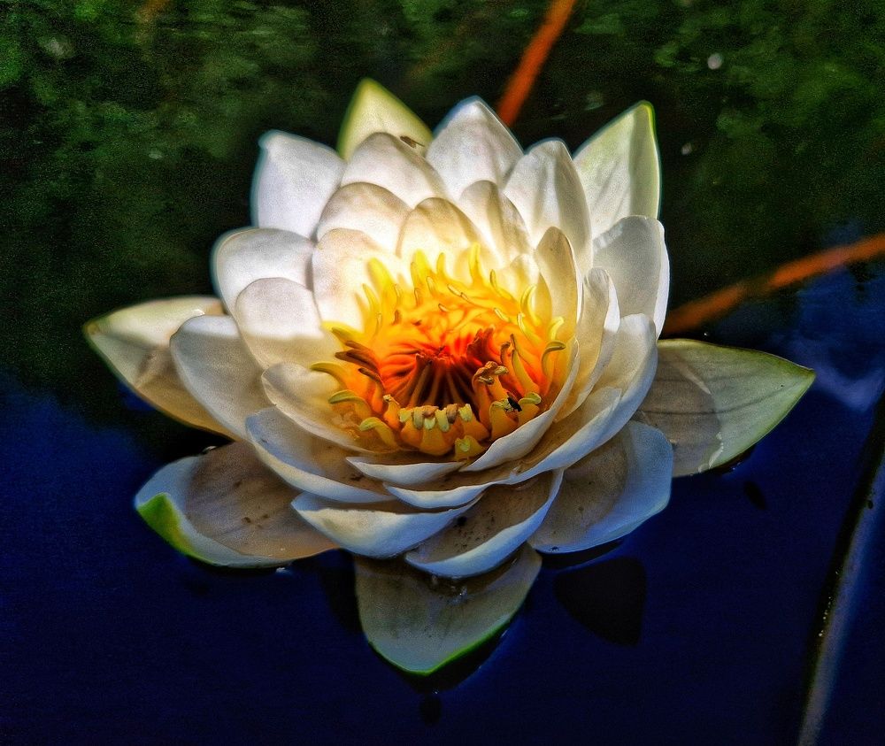 Фотография автора Kostya Zasorin