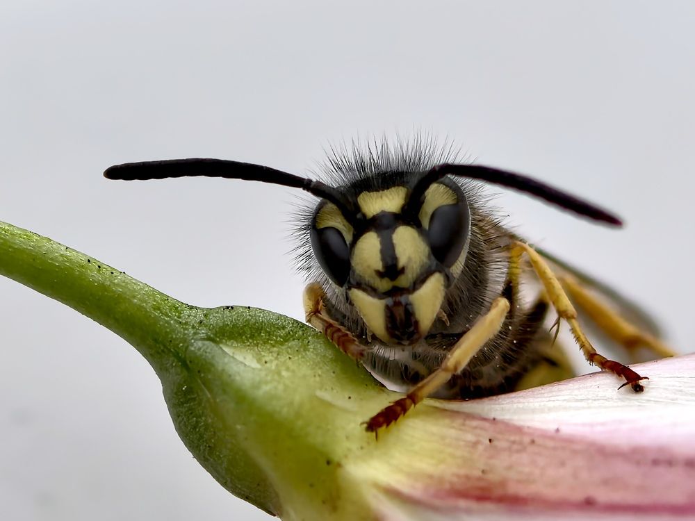 Photograph by Анна Епанчинцева