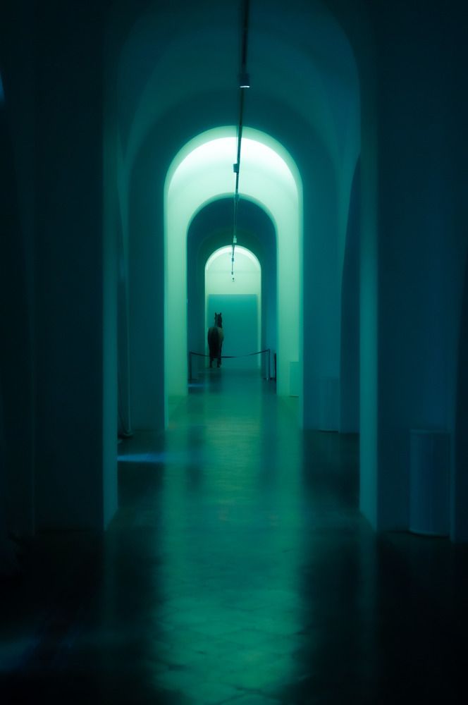 Photograph by Егор Ильичев