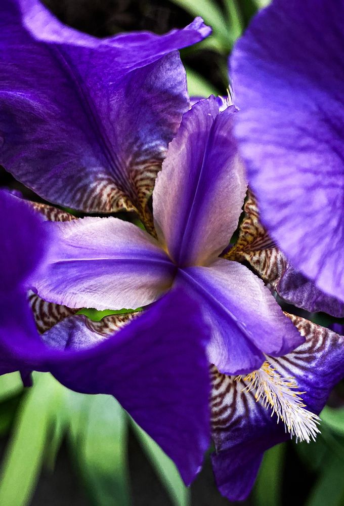 Photograph by Nataly Mayak