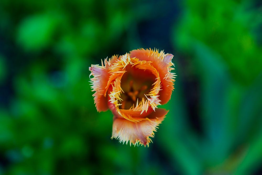 Photograph by Nataly Mayak