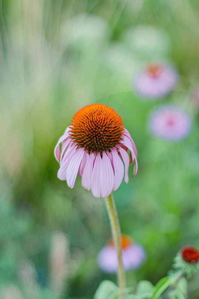 Photograph by Nataly Mayak