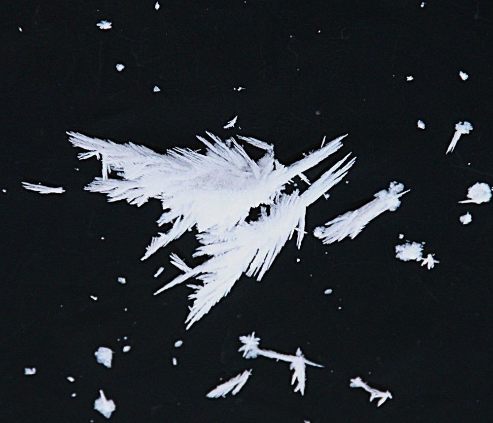 Photograph by Владимир Малёшин