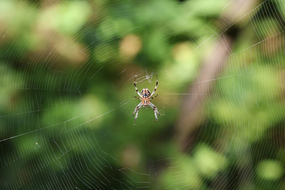 Photograph by Дина