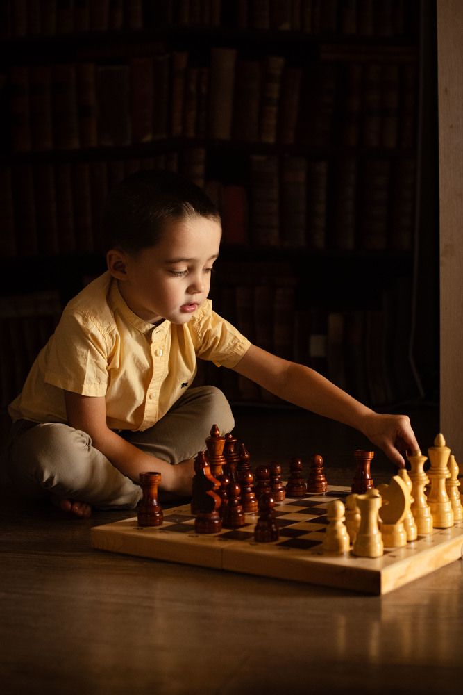 Юный шахматист