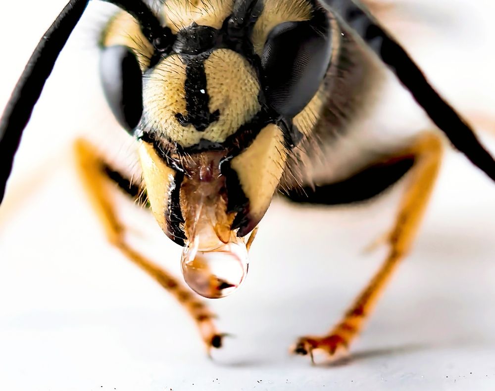 Photograph by Анна Епанчинцева