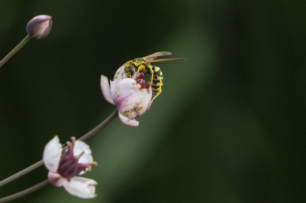 Photograph by Евгений Салаев