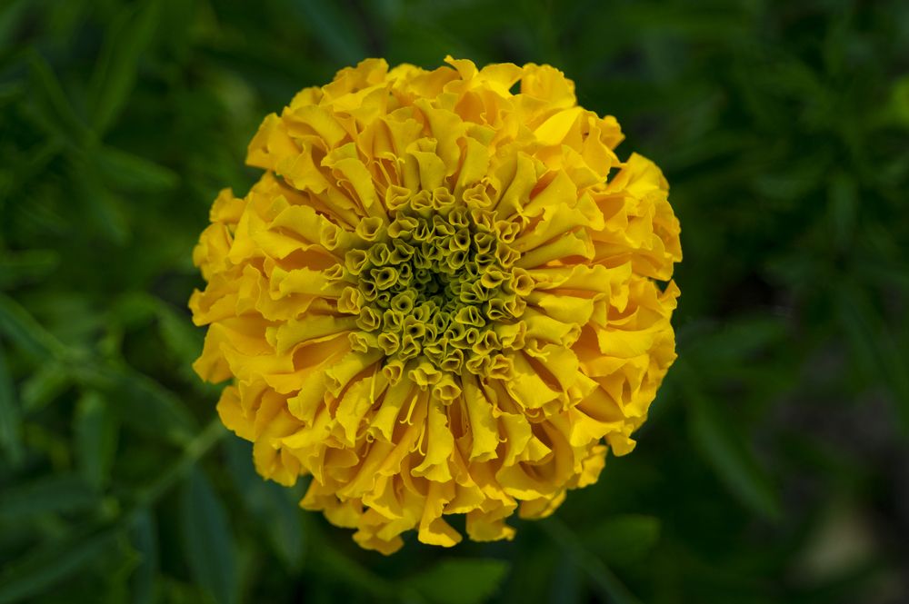 Photograph by Евгений Салаев