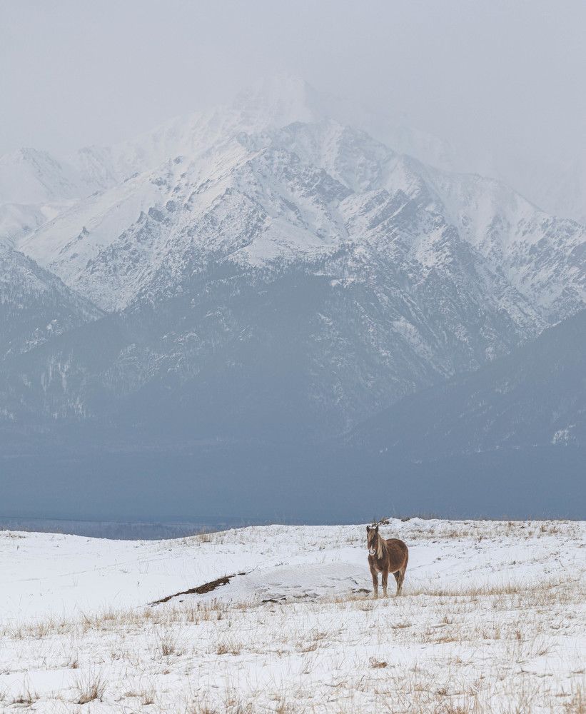 Photograph by Илья Поляк