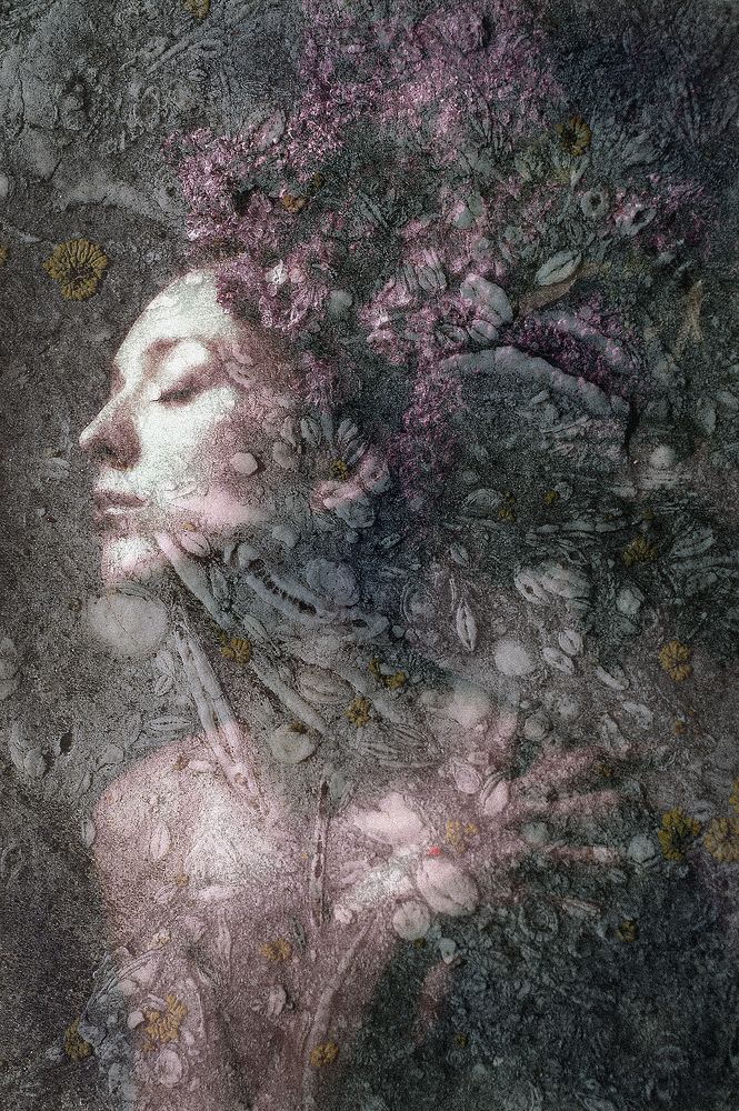 Photograph by Dar Veter