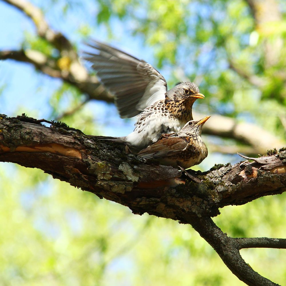 Photograph by Ирина Владимировна Фурсова