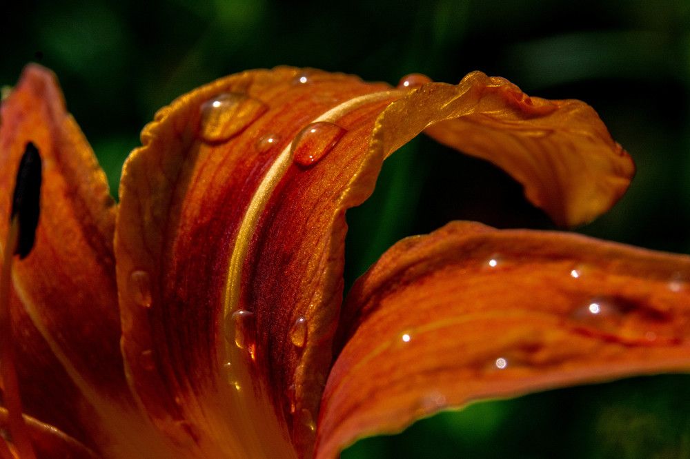 Photograph by Людмила