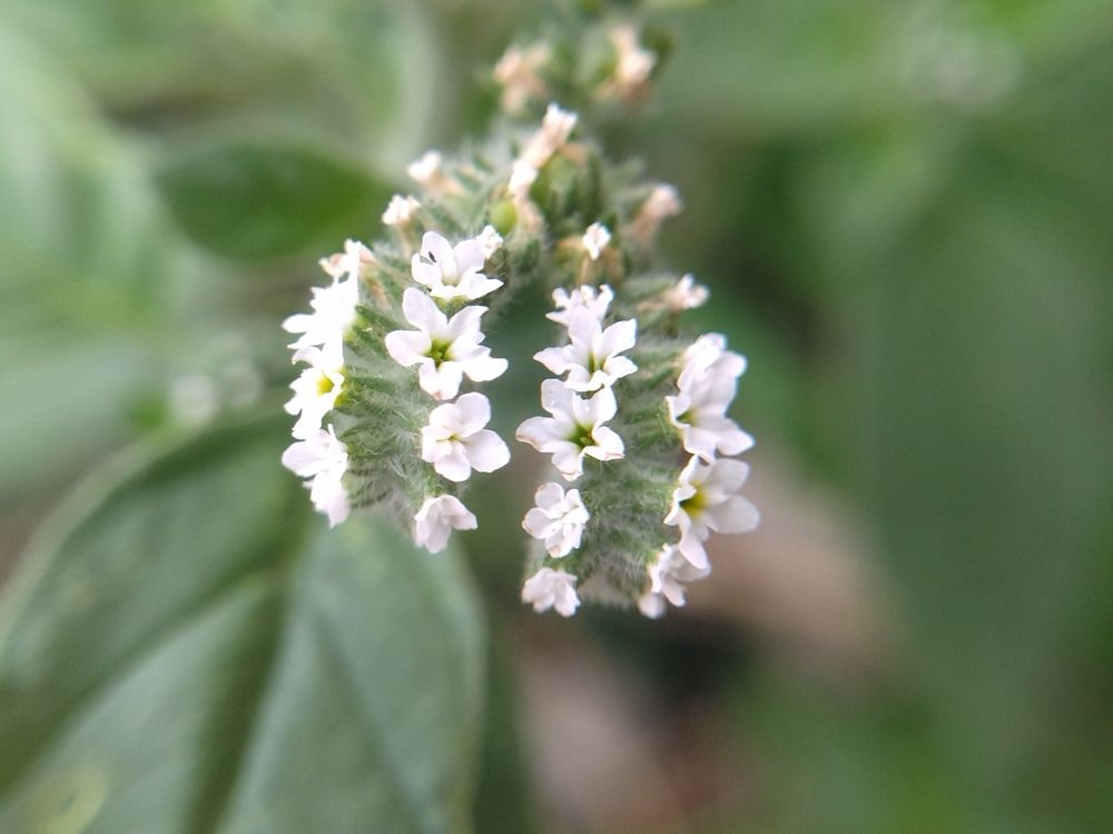 Photograph by Анна Степанова