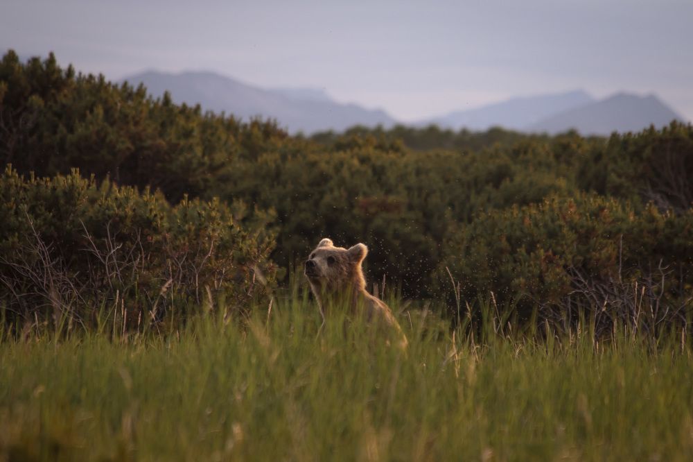 Photograph by Анастасия Рубан