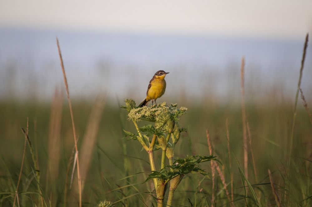 Photograph by Анастасия Рубан
