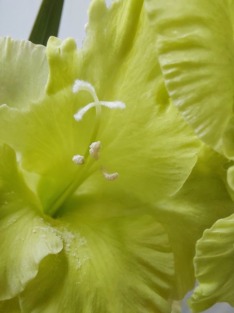 Photograph by Наталия Дроздова