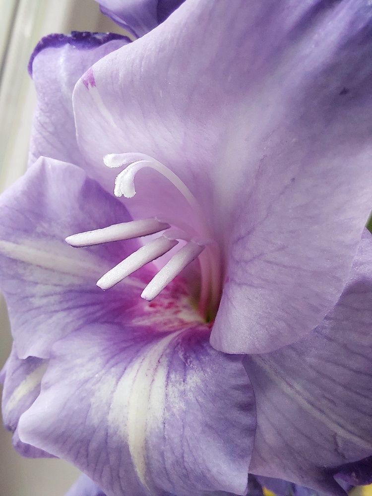 Photograph by Наталия Дроздова