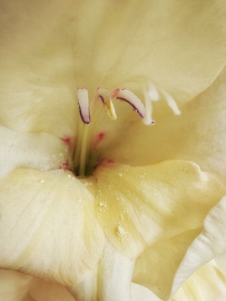 Photograph by Наталия Дроздова